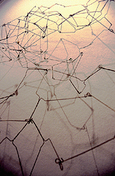 Greg Vendena work